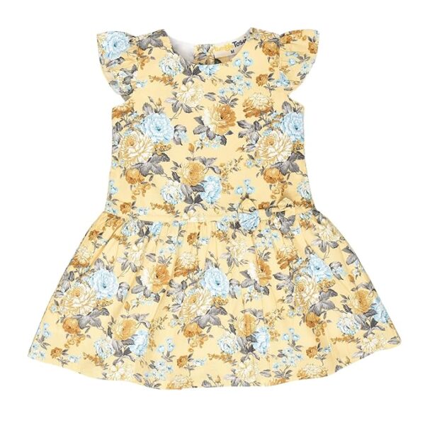 Girls - Floral Printed Dress | Stylish Flared Frock for Casual, Party