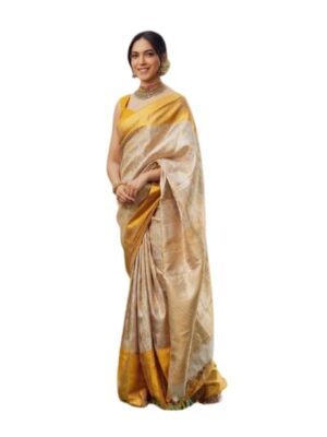 Traditional Indian Saree for Women, Ethnic Wear, Wedding and Festival Attire
