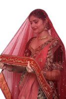 Women's Self Design Net Dupatta